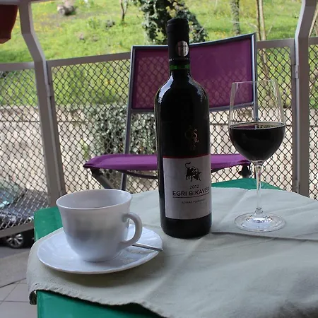 Budavar بودابست